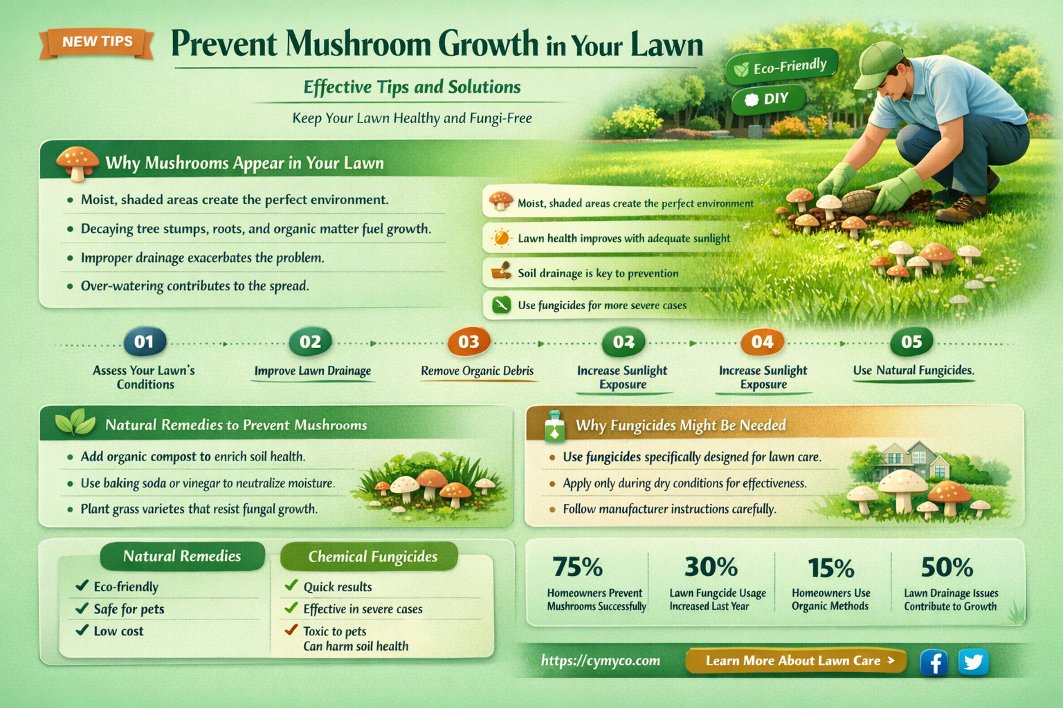 how to stop mushrooms from growing in grass