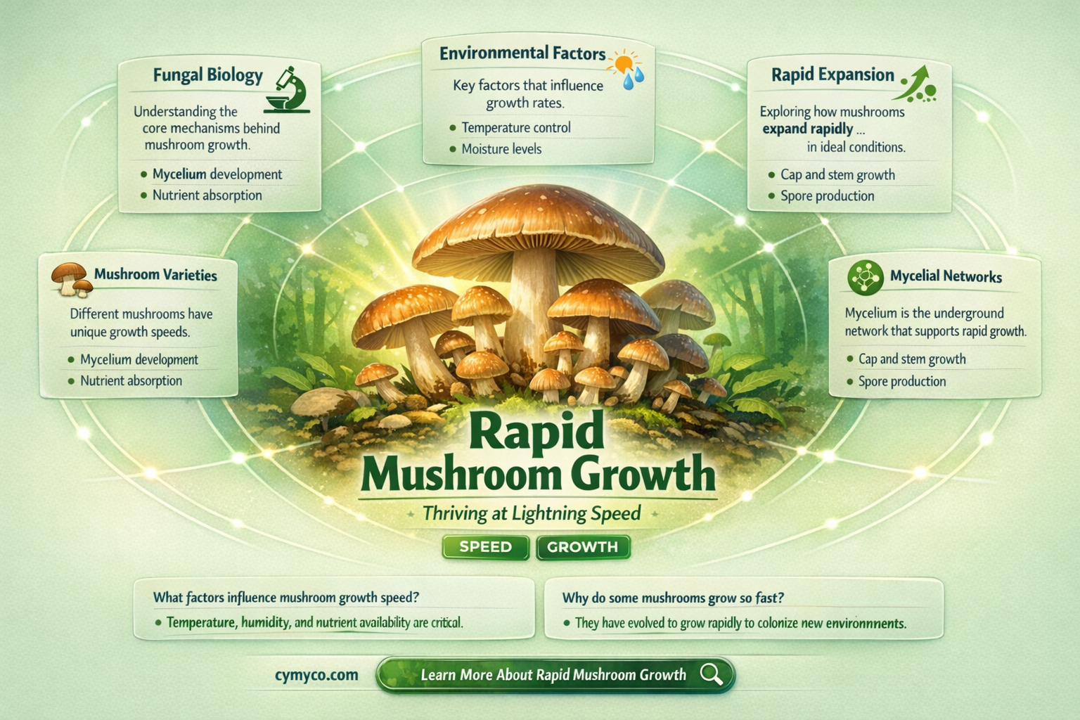 why do mushrooms grow so fast