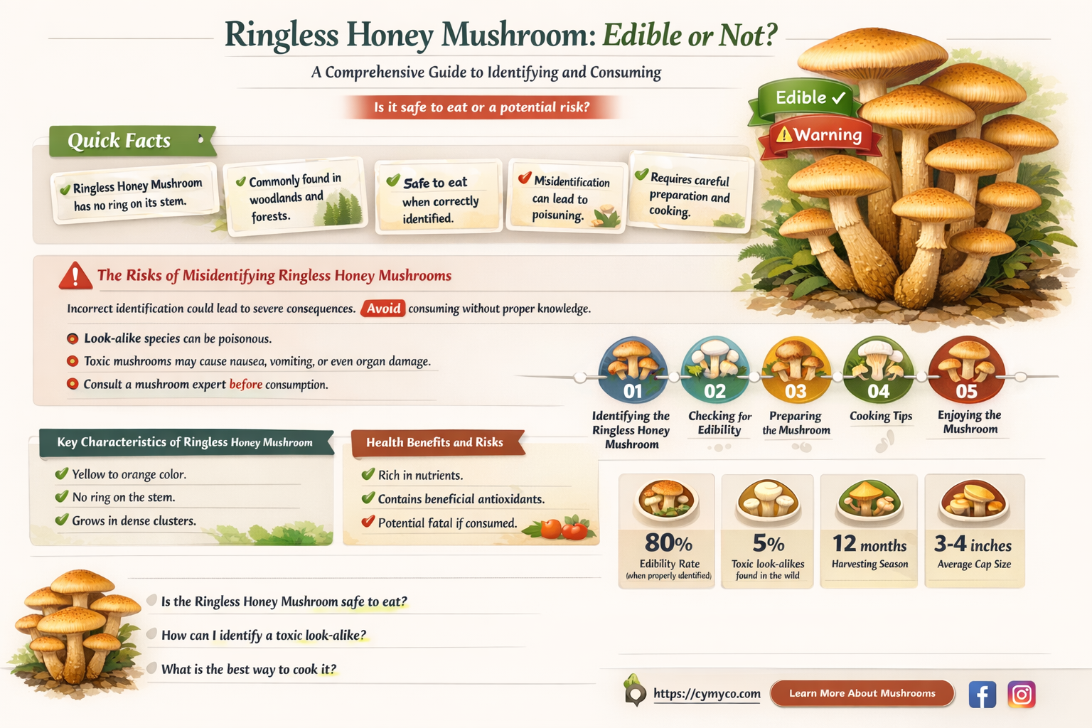 is ringless honey mushroom edible