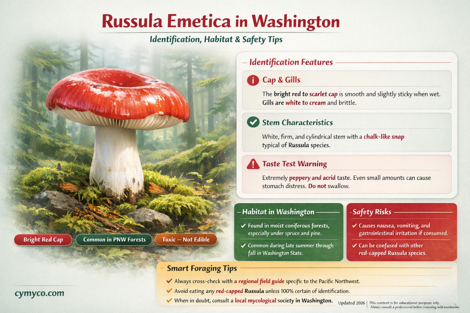 are russula emetica in washington state