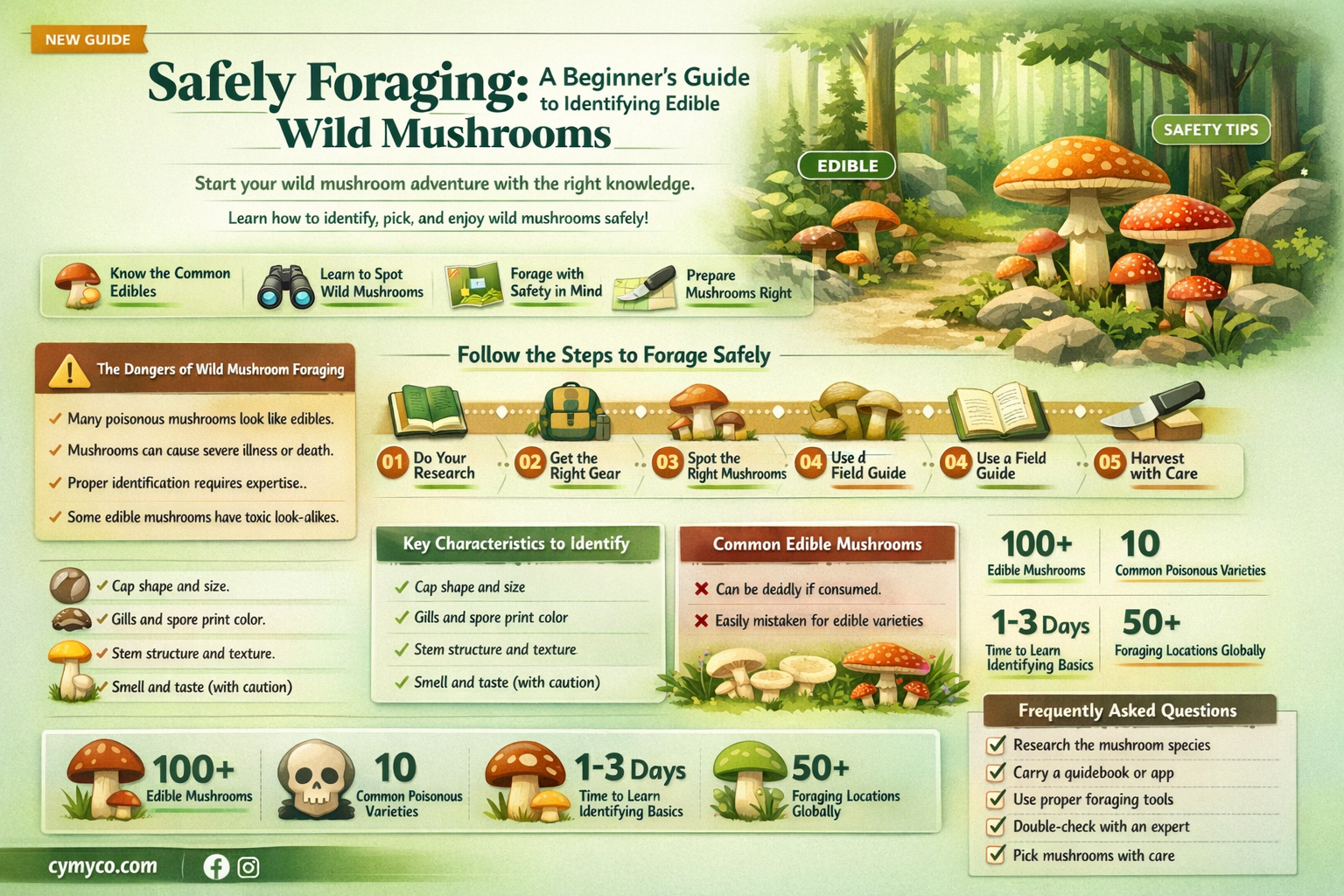 how to identify edible wild mushrooms