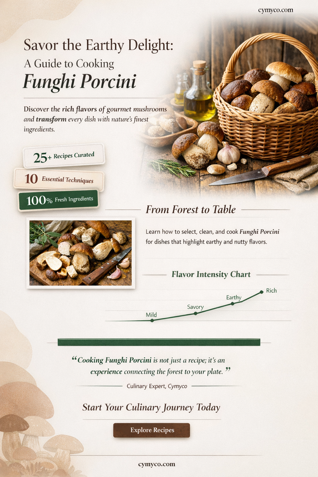 how to cook funghi porcini