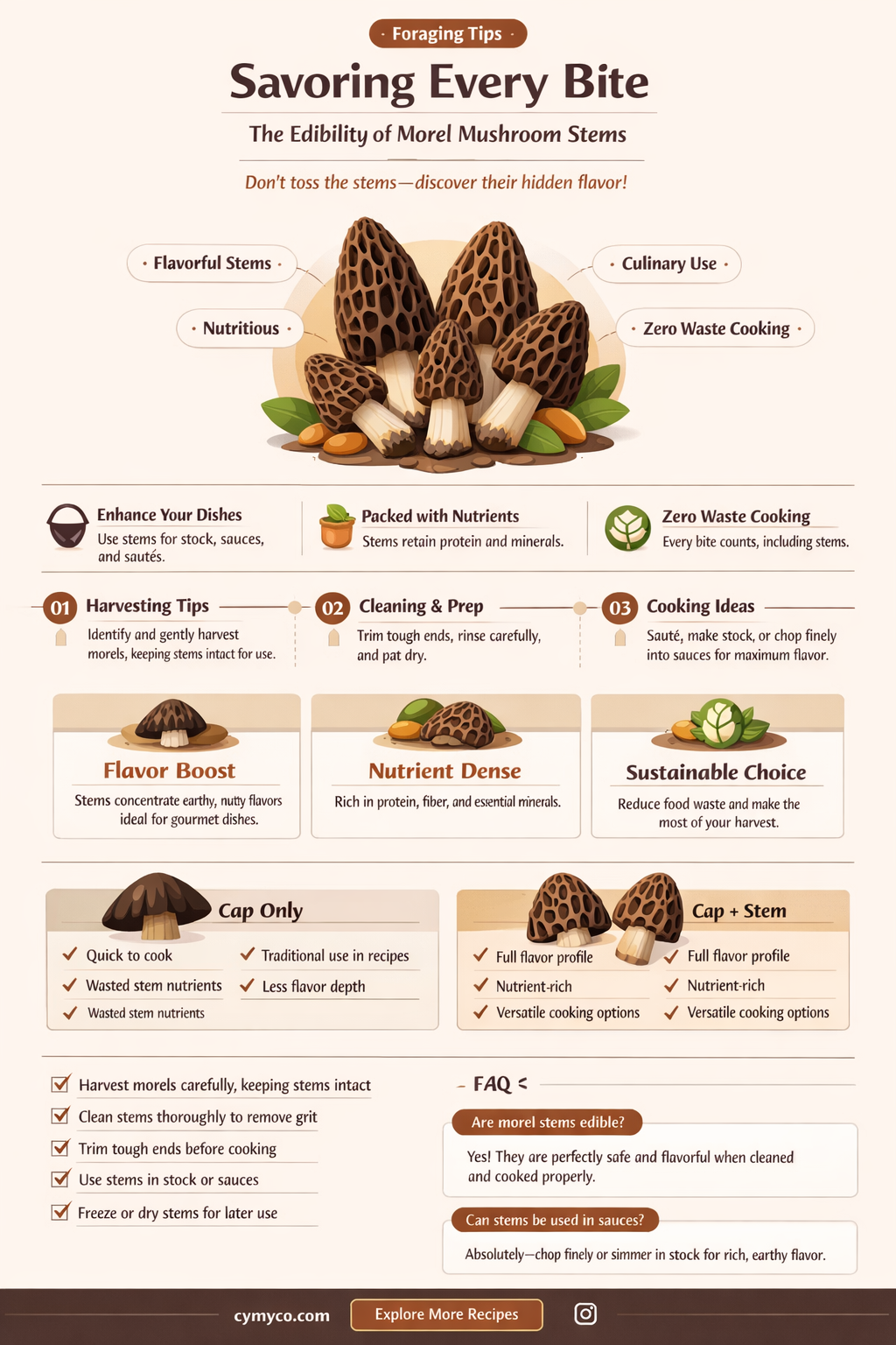 do you eat the stems of morel mushrooms