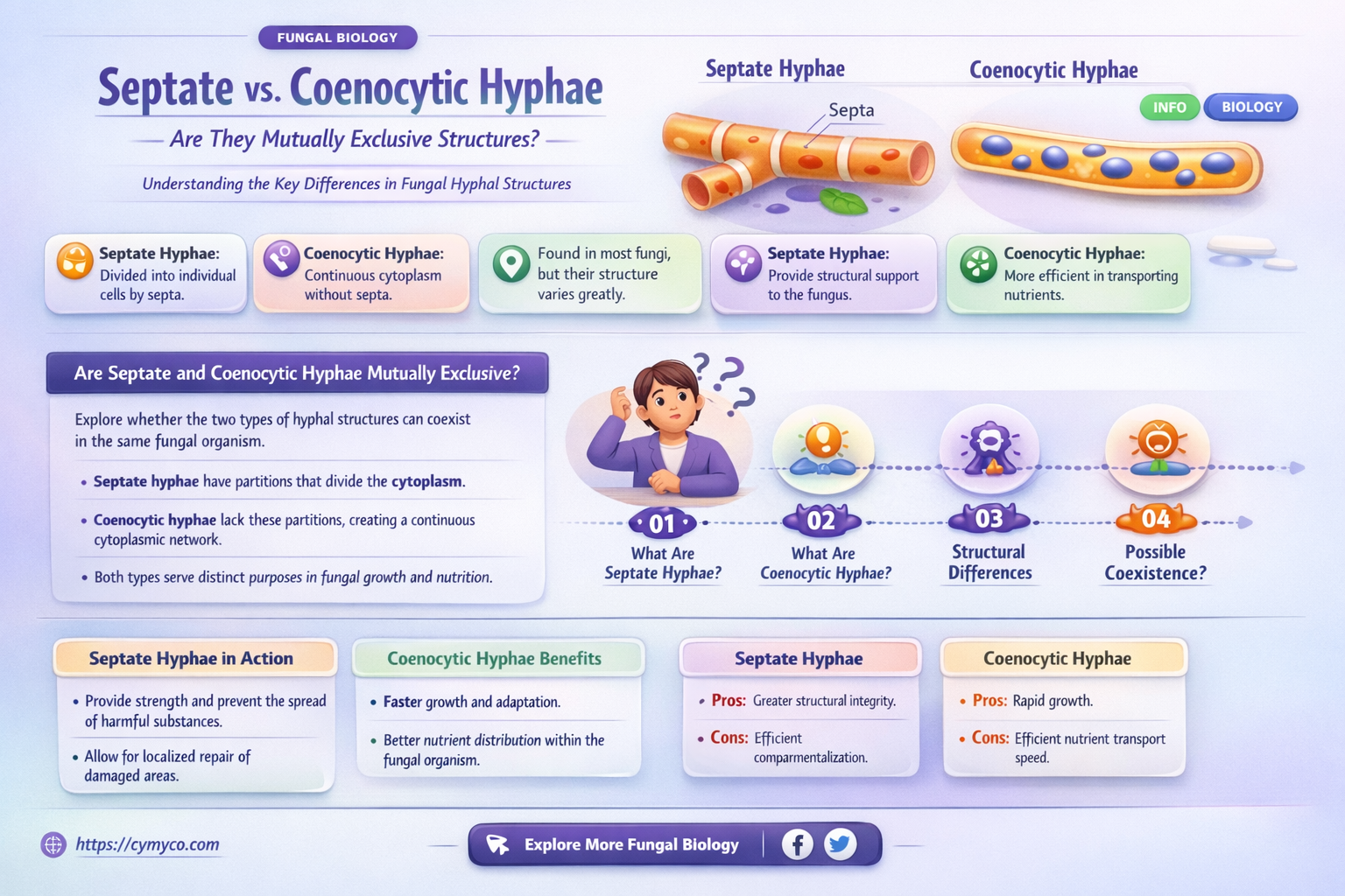 are septate and coenocytic hyphae mutually exclusive