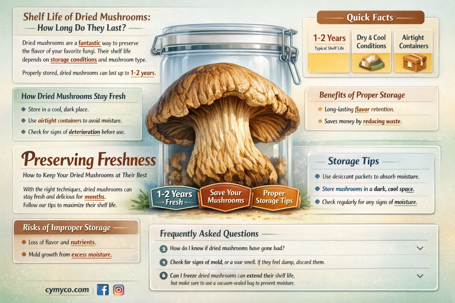 how long are dried mushrooms good for