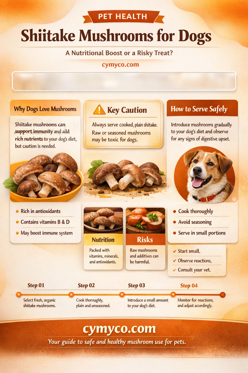 can i feed a dog shiitake mushrooms