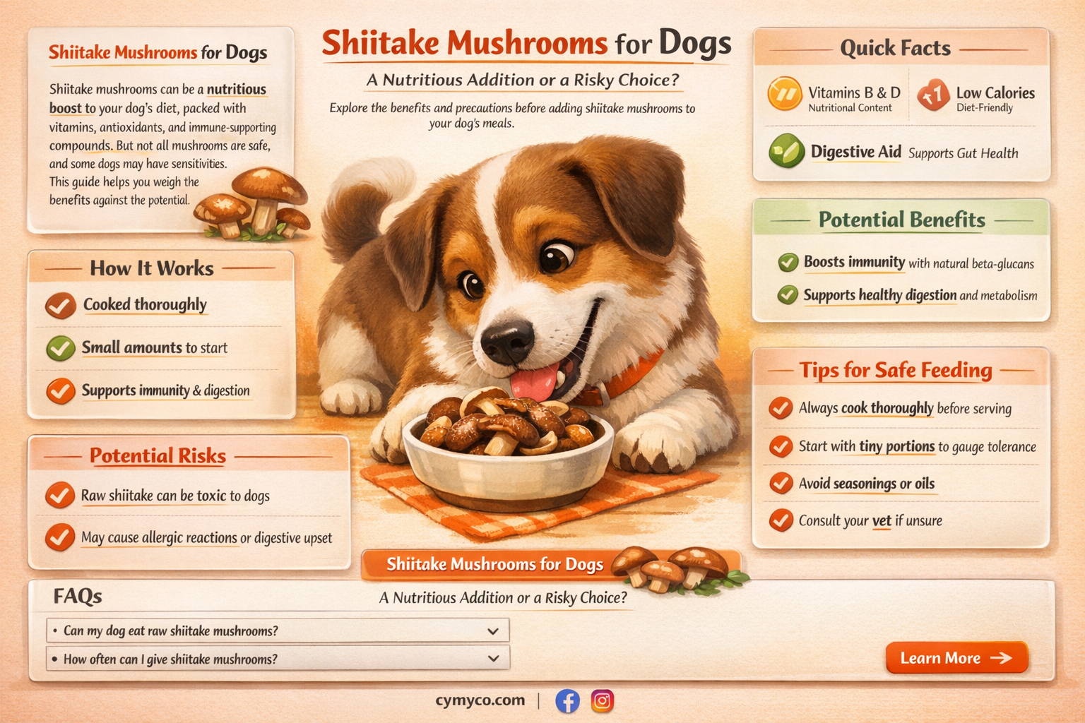can i add shiitake mushgromm to dogs