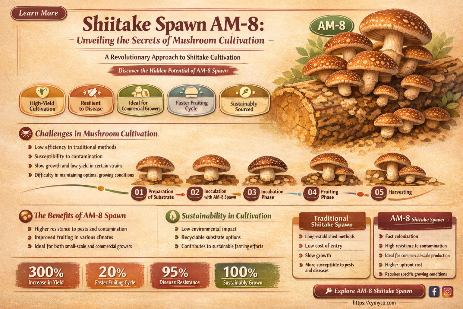 am-8 shiitake spawn
