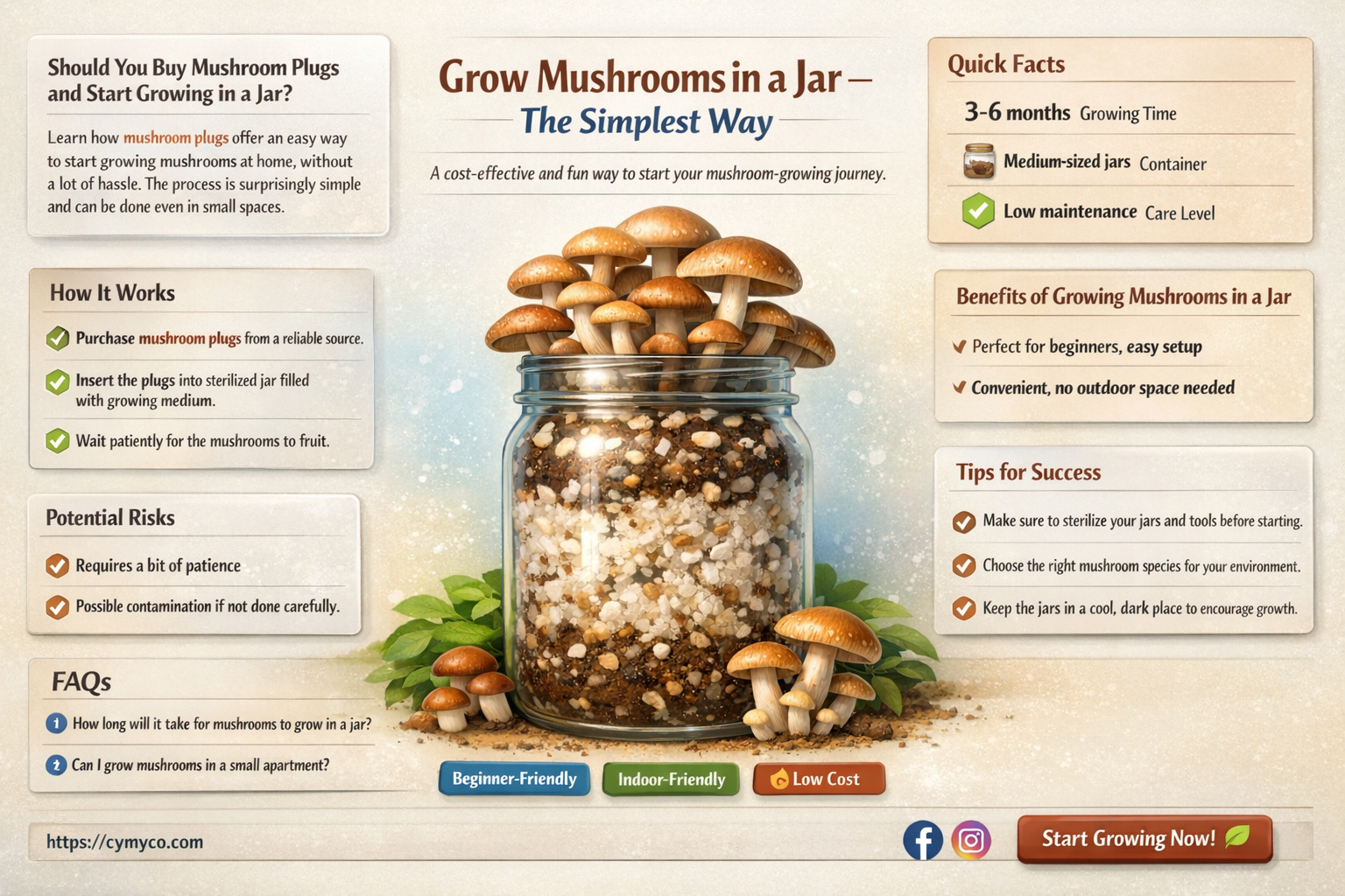 do i buy mushroom plugs and start in a jar