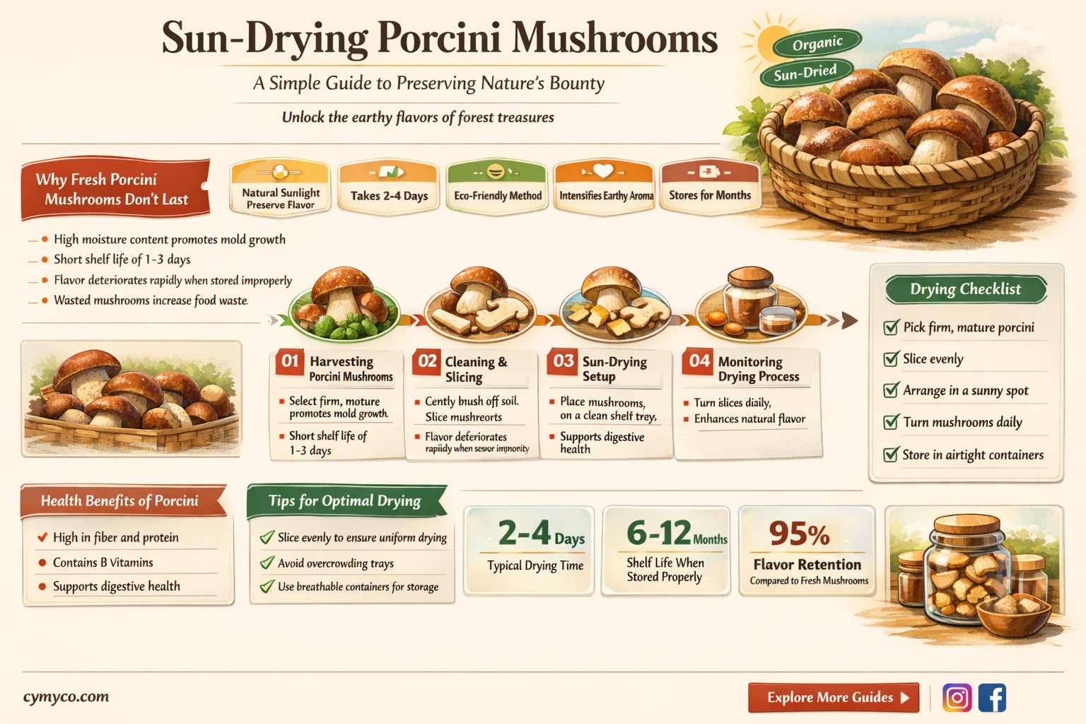 how to sun dry porcini mishrooms