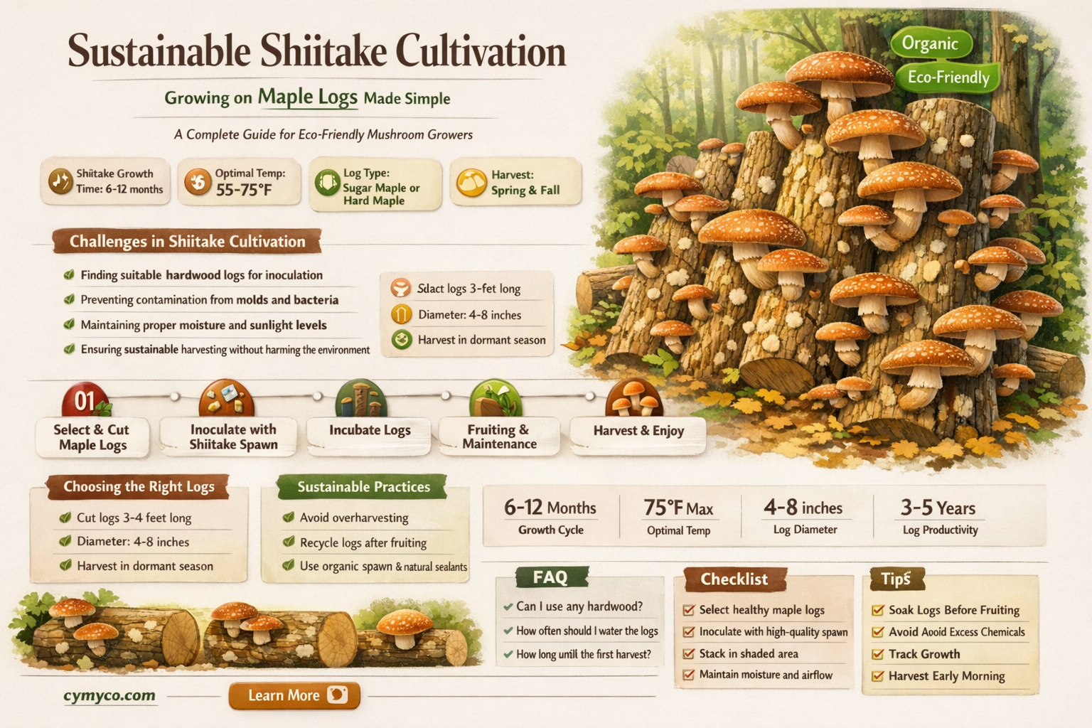 can i growing shiitake on maple logs