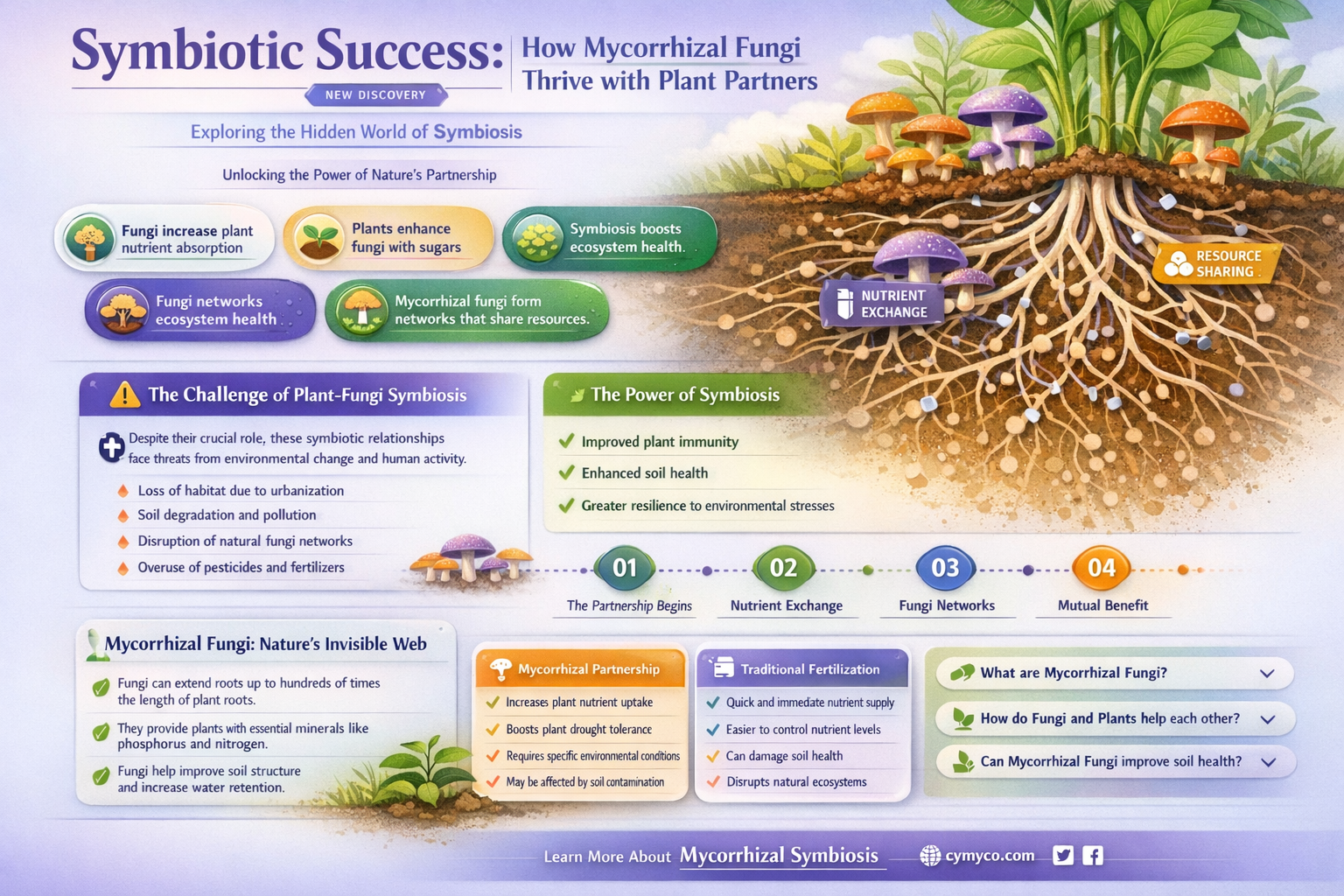 what benefit do mycorrhizal fungi receive from their plant partners