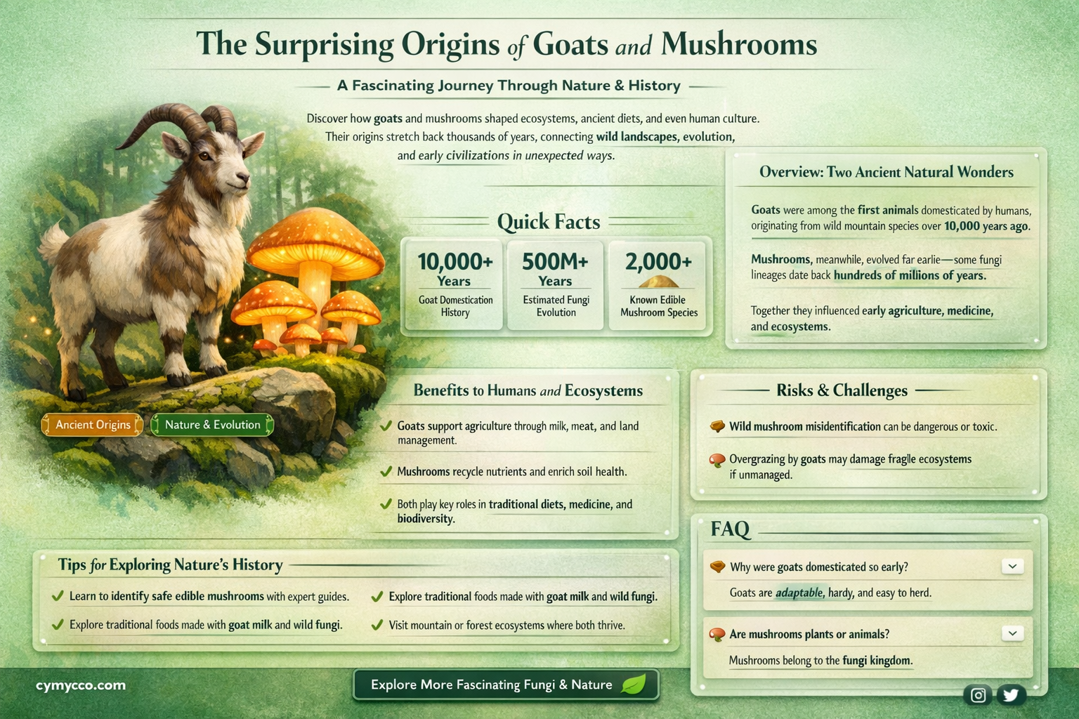 where did goats are like mushrooms come from