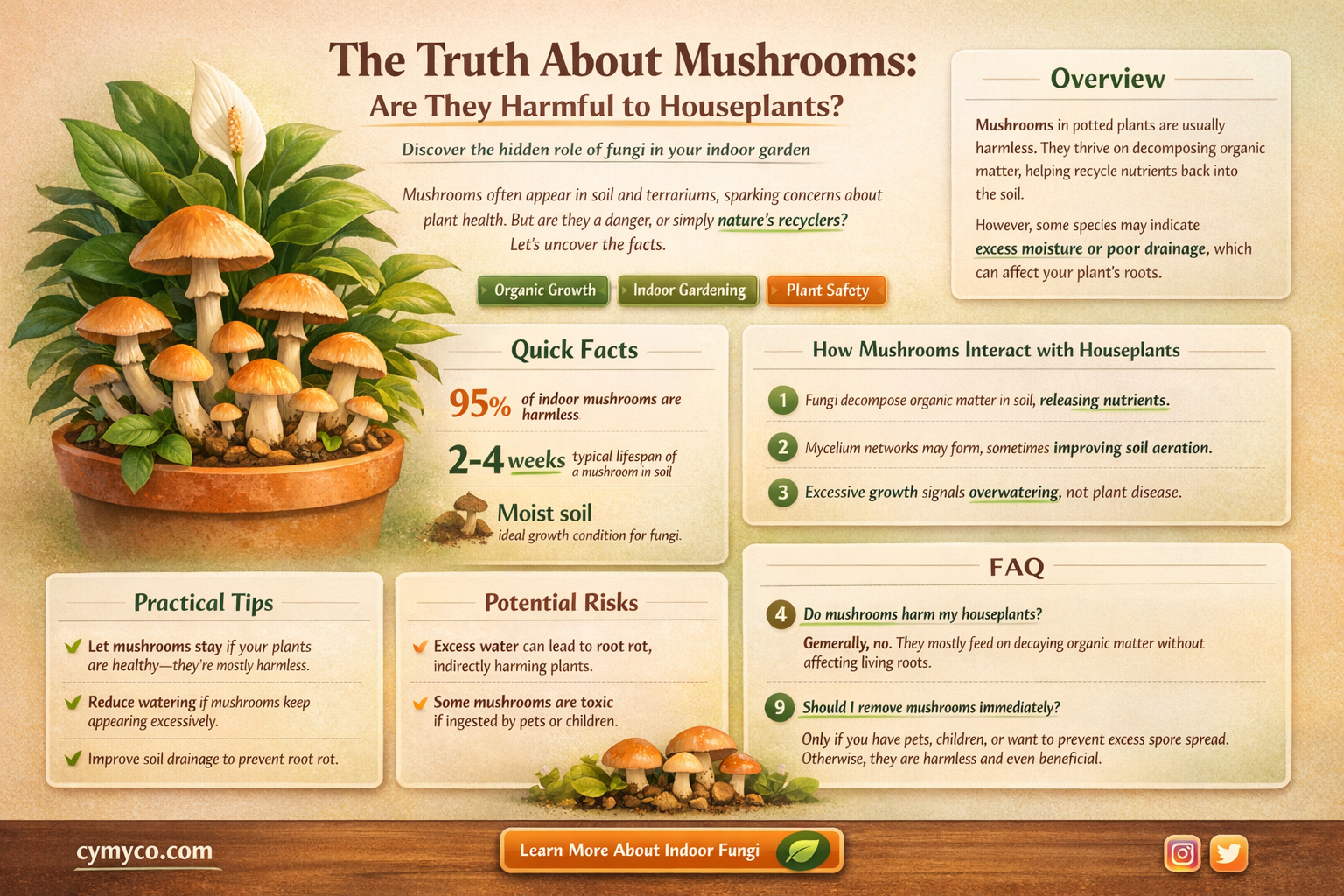 are mushrooms bad for houseplants