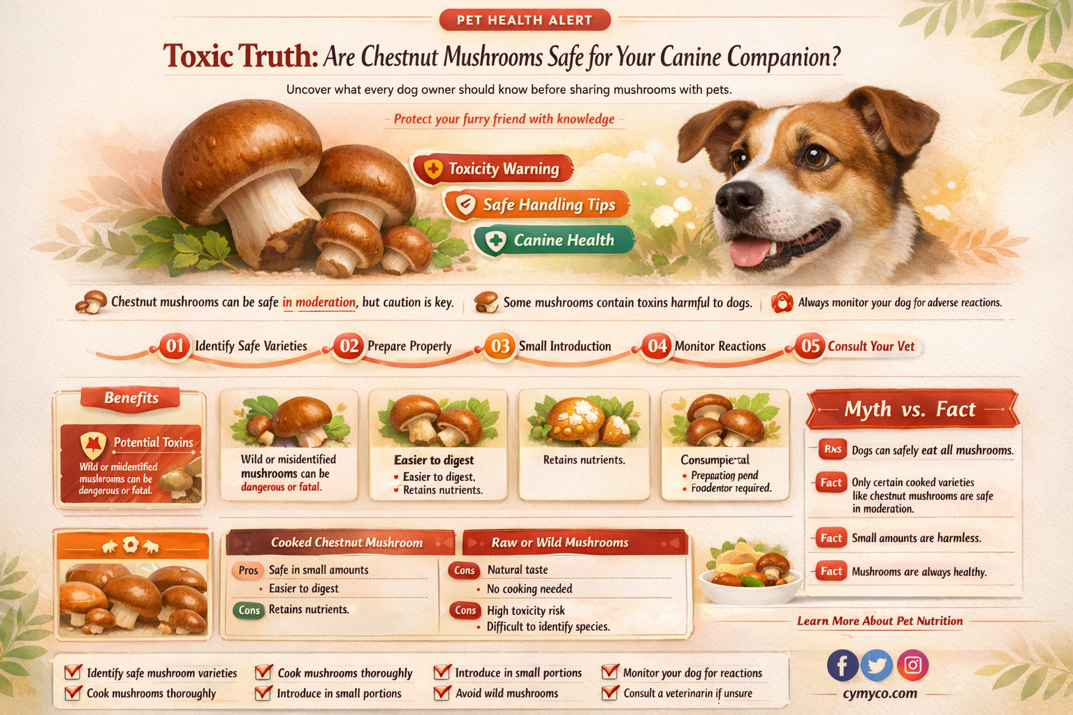 are chestnut mushrooms poisonous to dogs