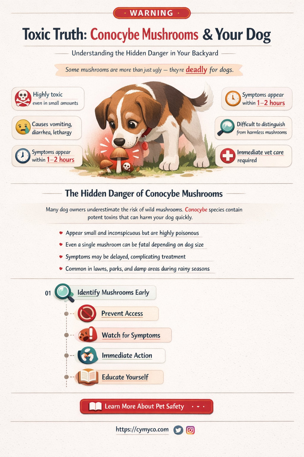 are conocybe mushrooms poisonous to dogs