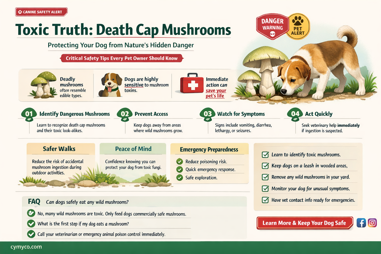 are death cap mushrooms poisonous to dogs