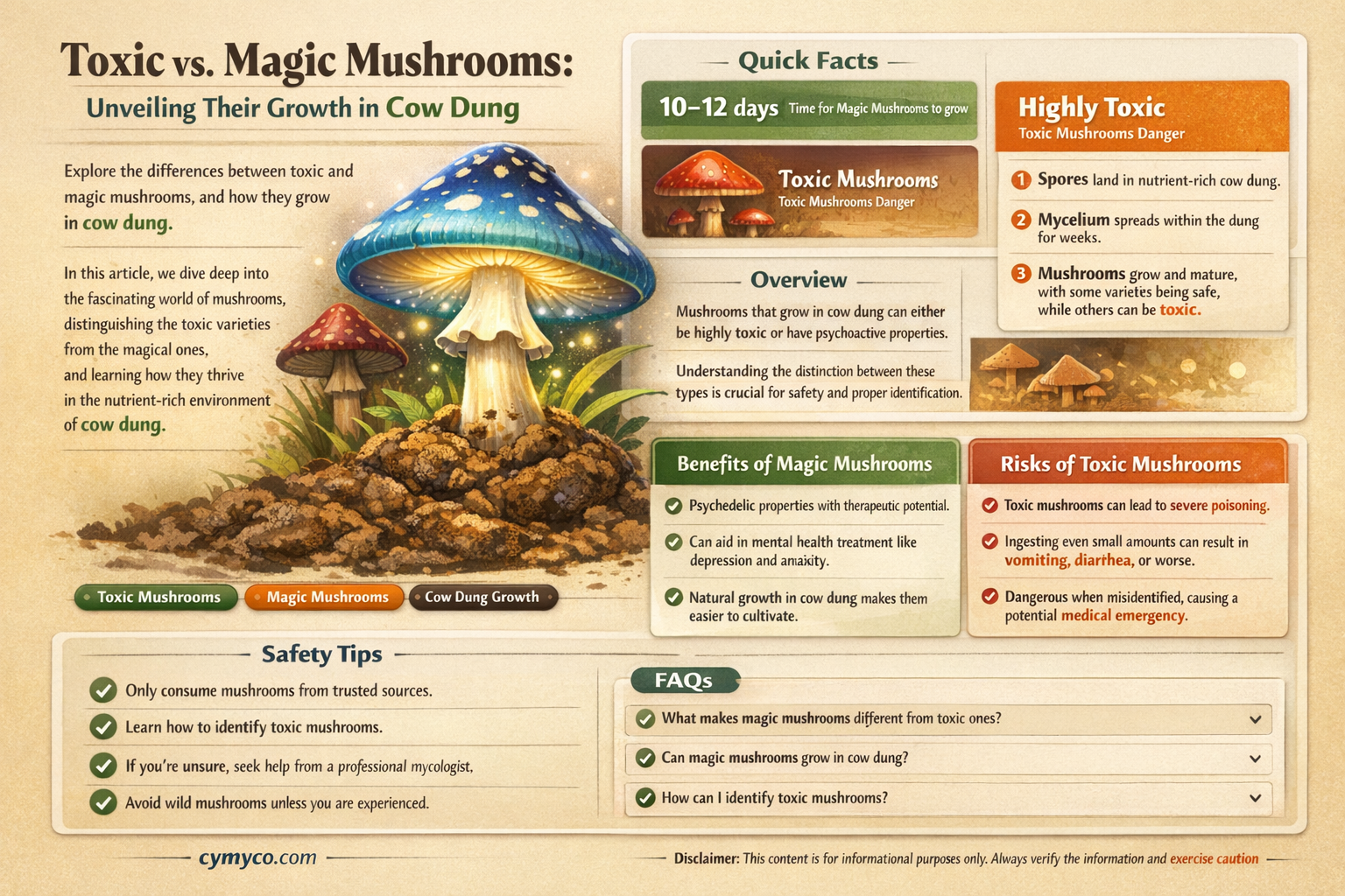 what toxic and magic mushrooms grom in cow dung