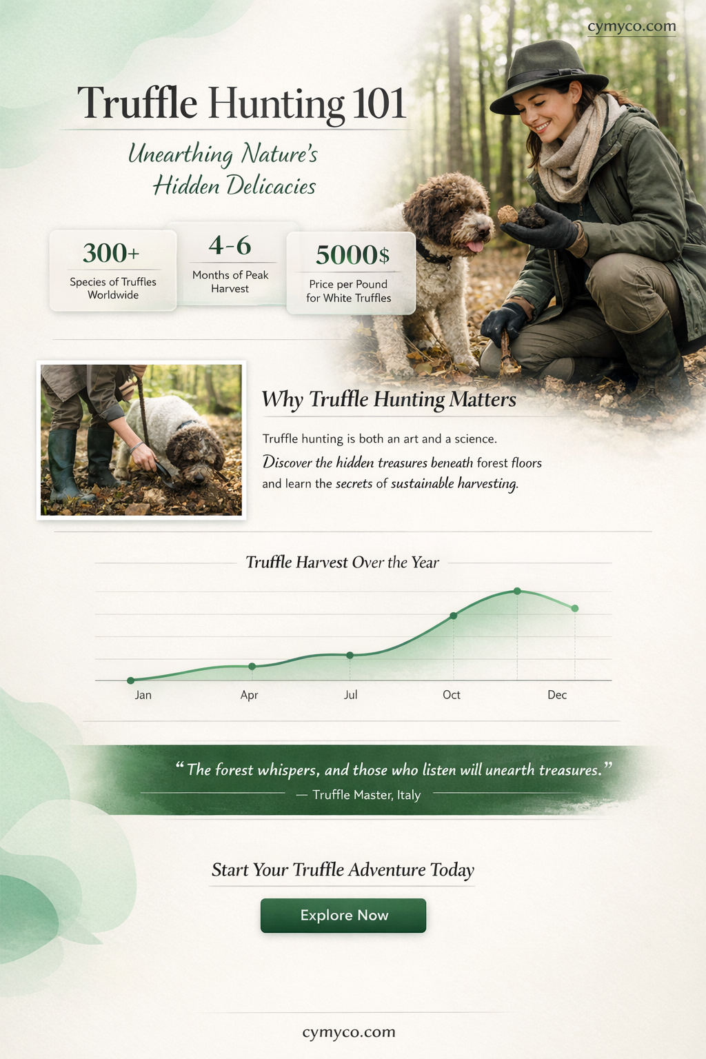 how to look for truffles