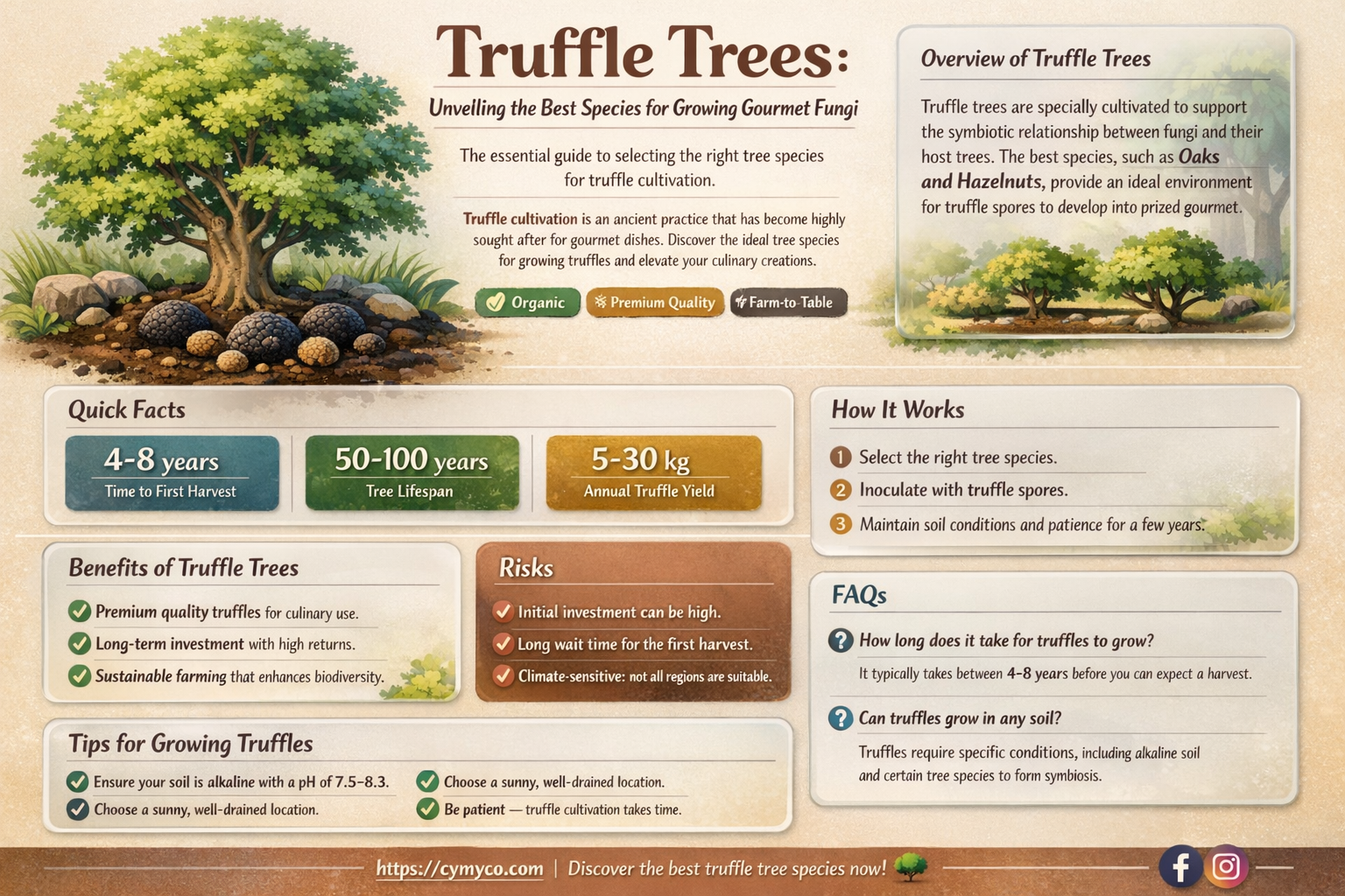 what trees do truffles grow under