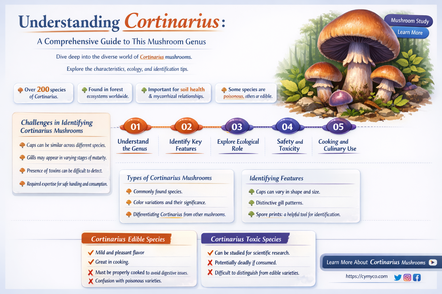 what is a cortinarius