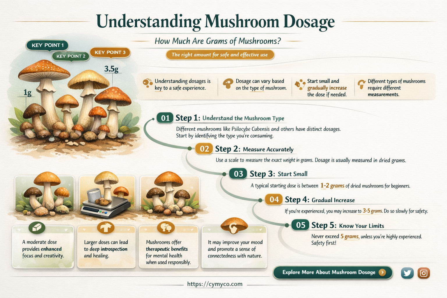 how much is grams of mushrooms