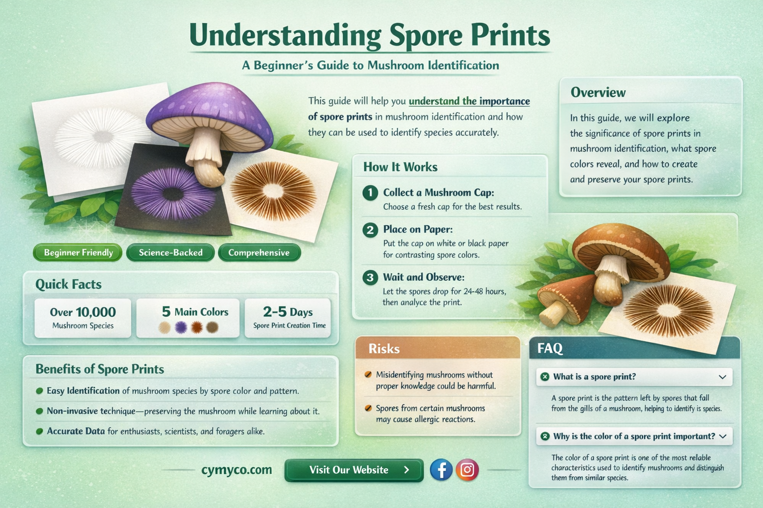 what are spore prints