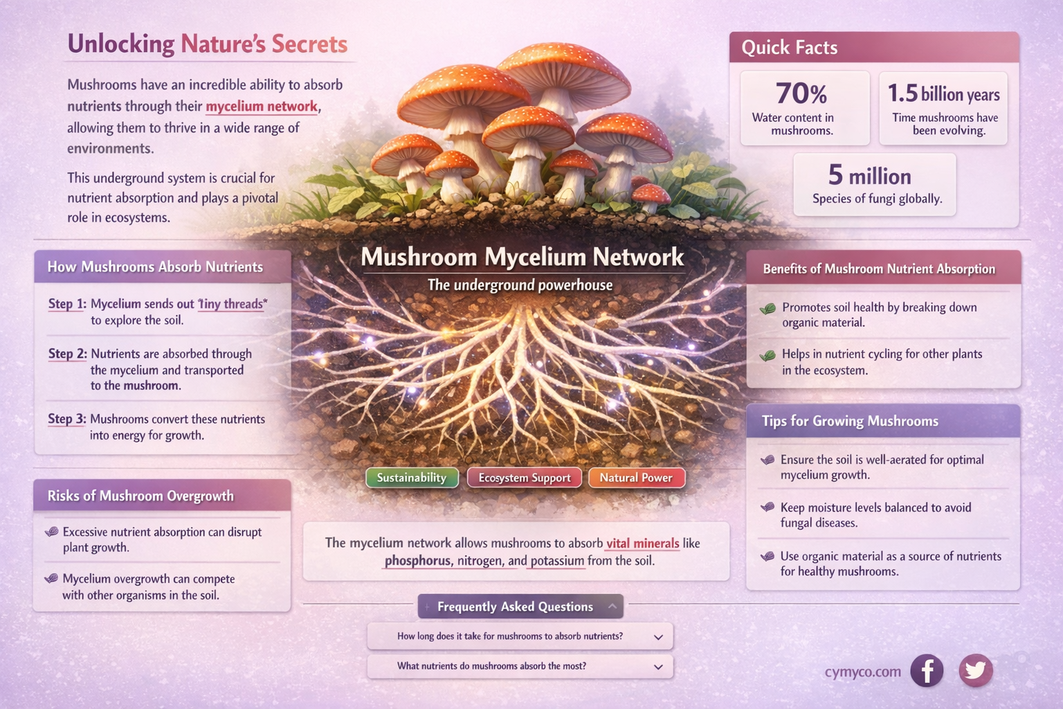 how to mushrooms get nutrients