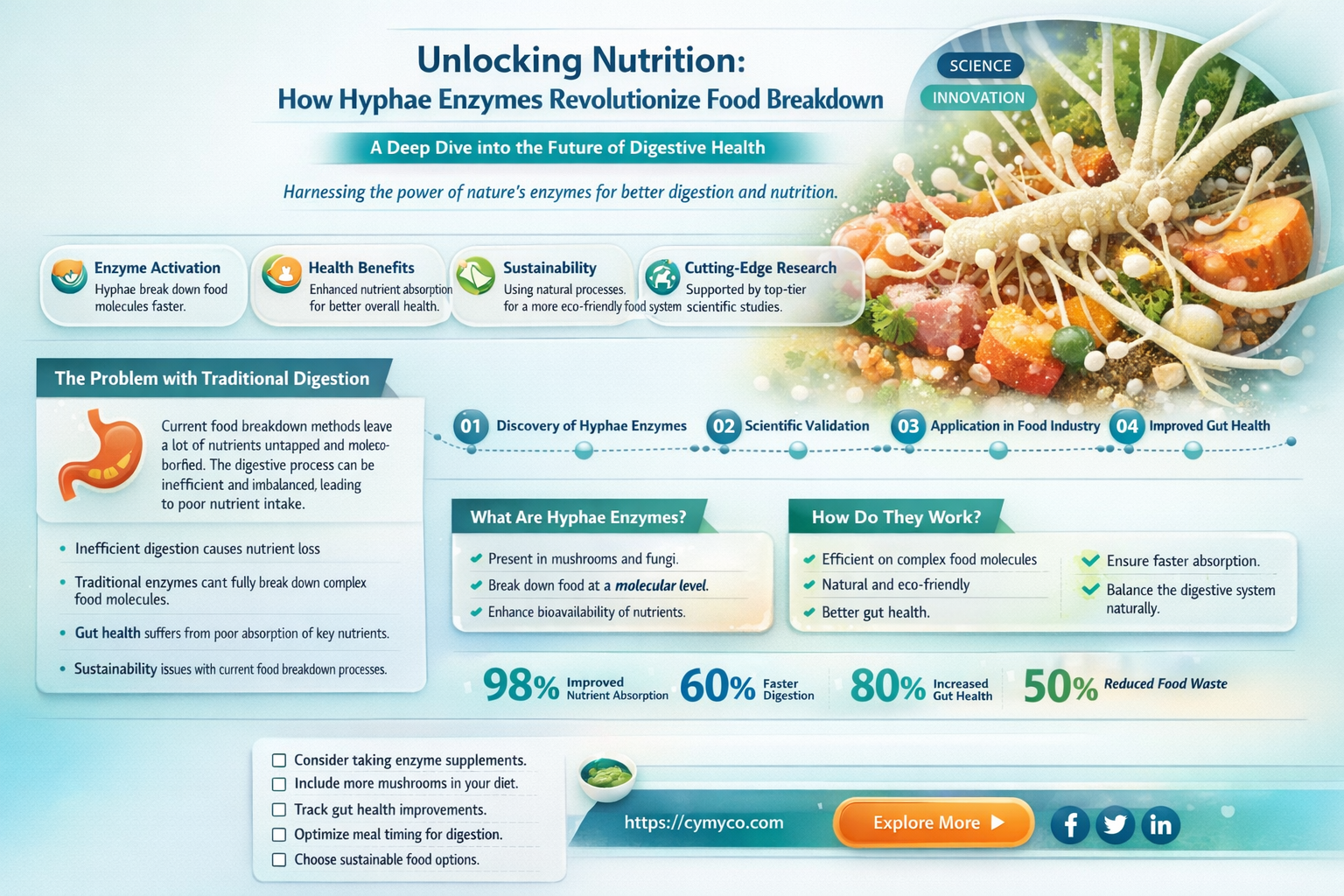 do hyphae release enzymes to break down food