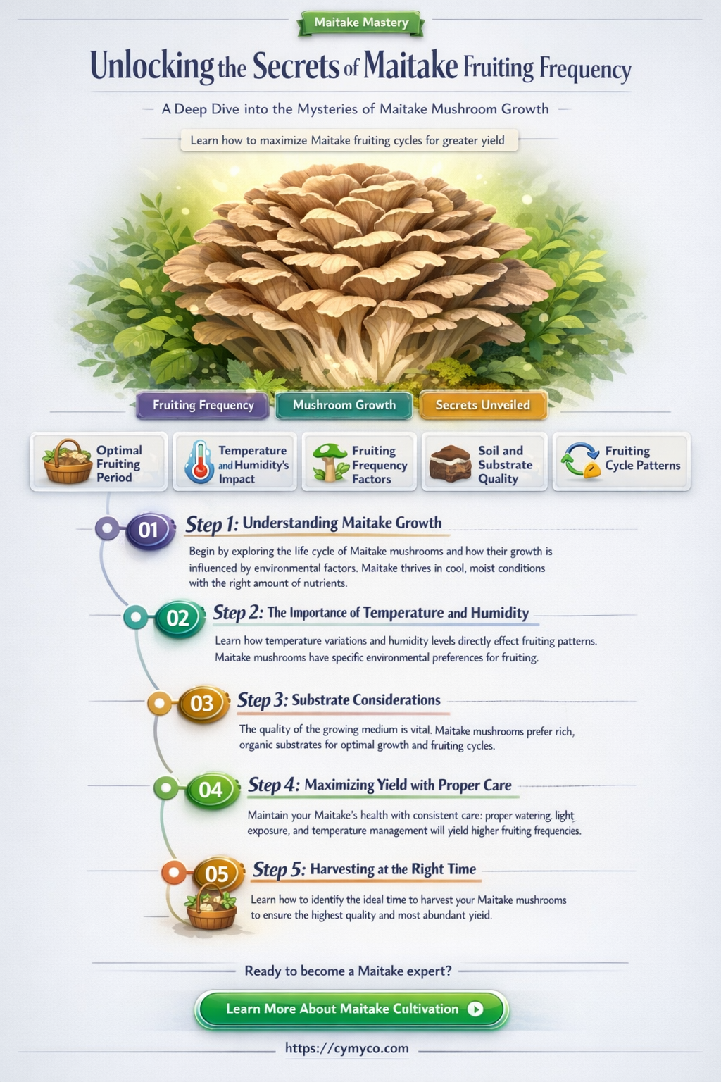 how often will a maitake fruit