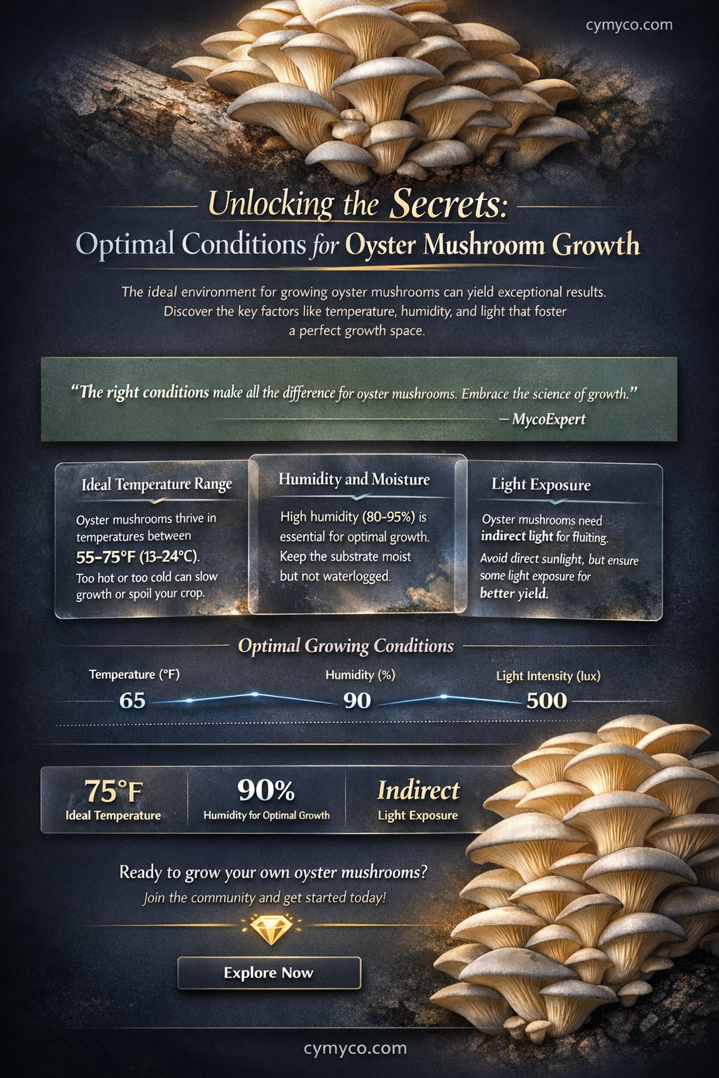 when do oyster mushrooms grow