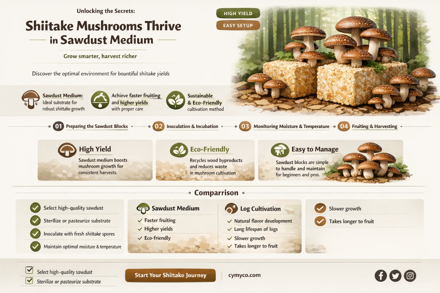 can shiitake grow in sawdust