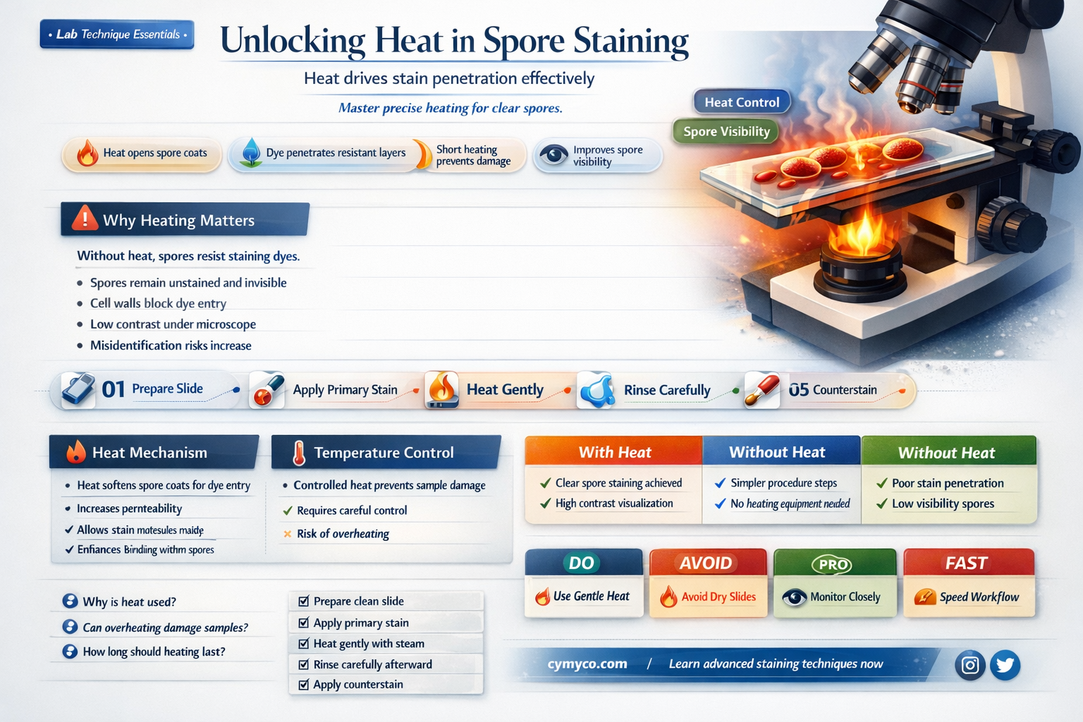 why is heat necessary in spore staining