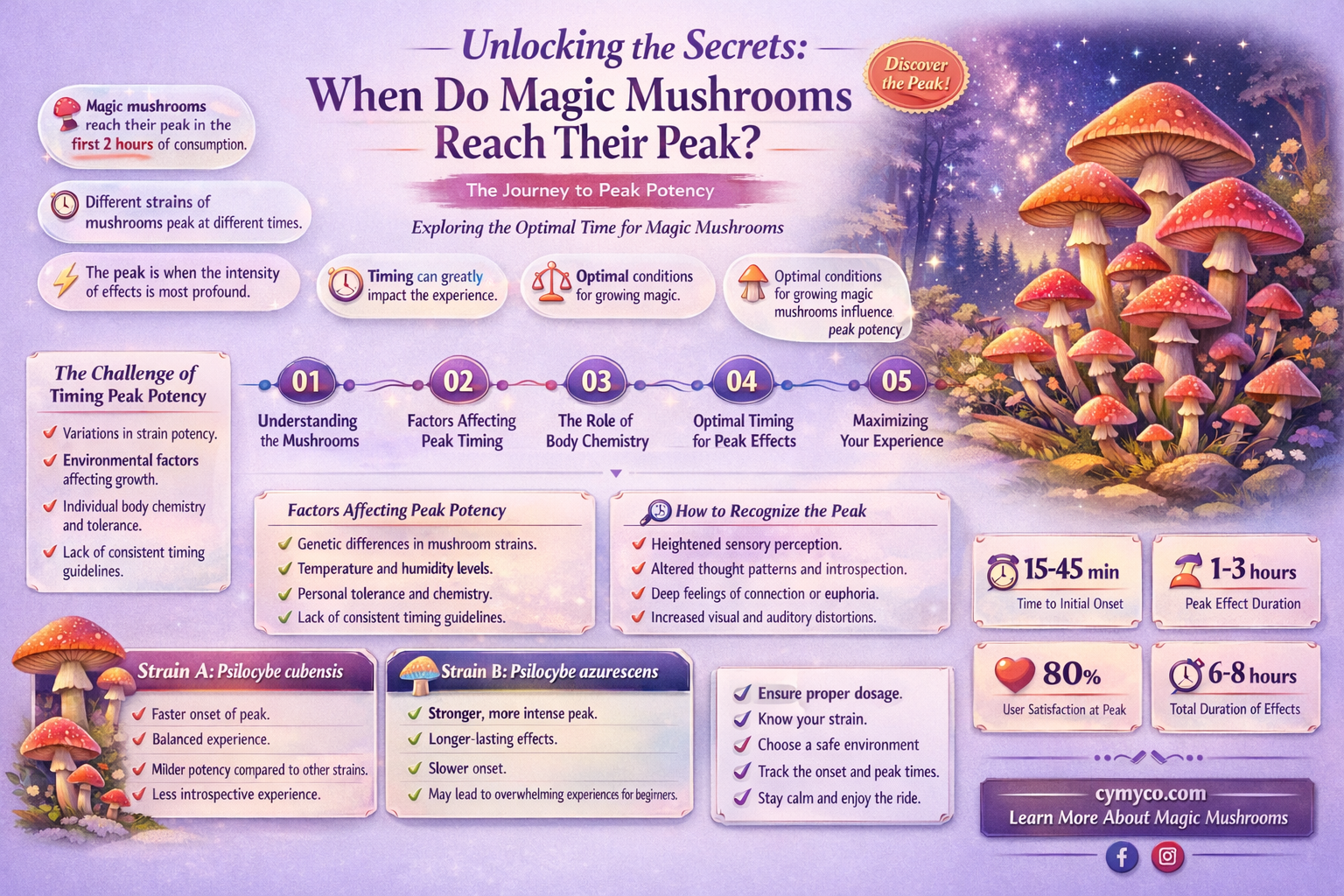when is the peak magic mushroom