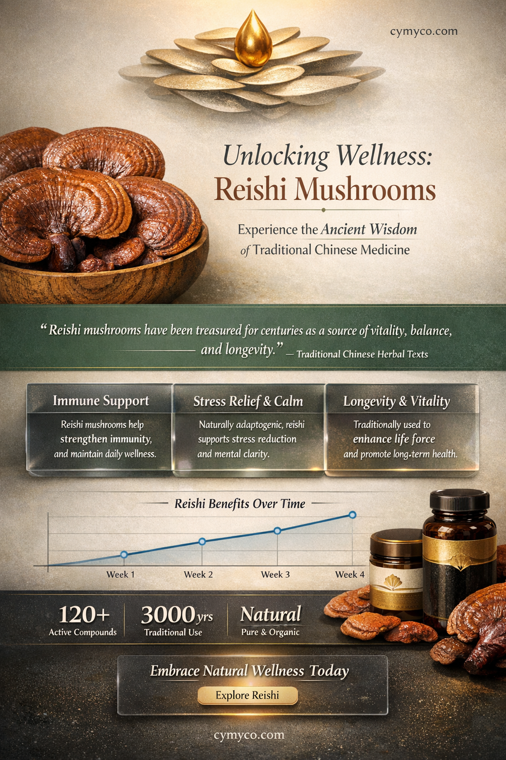how are reishi mushrooms used in tcm
