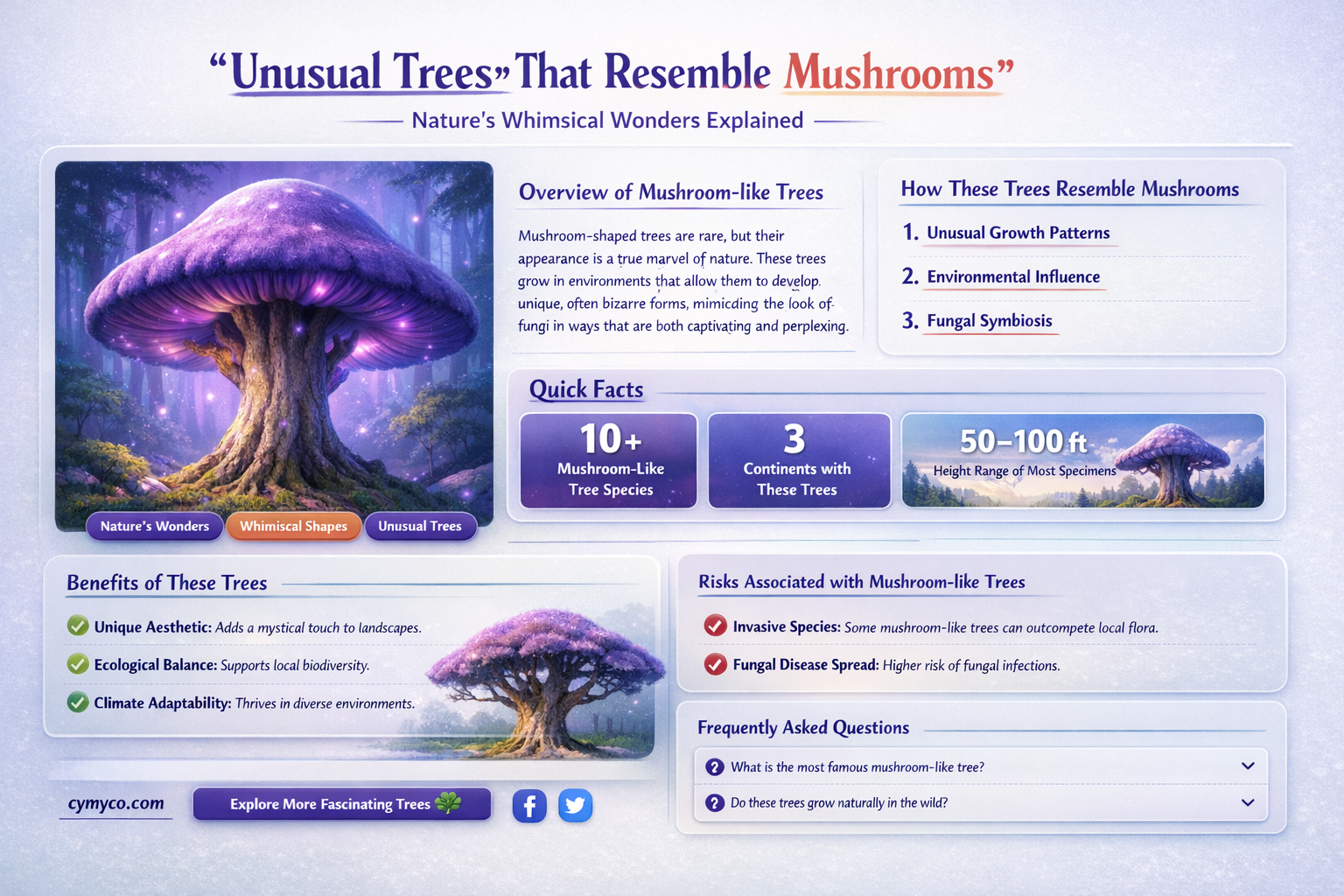 what tree looks like a mushroom