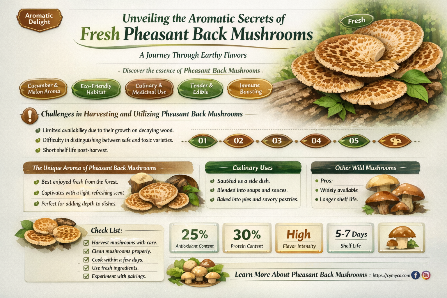 what should pheasant back mushrooms smell like
