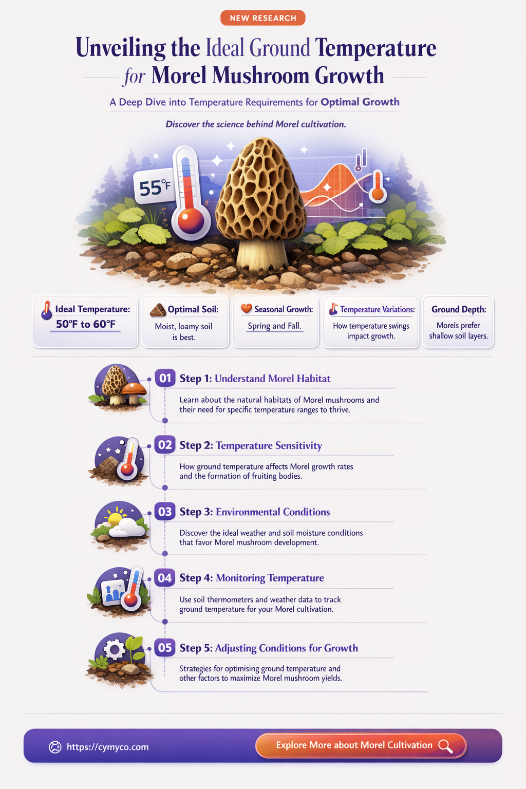 what ground temp do morels grow