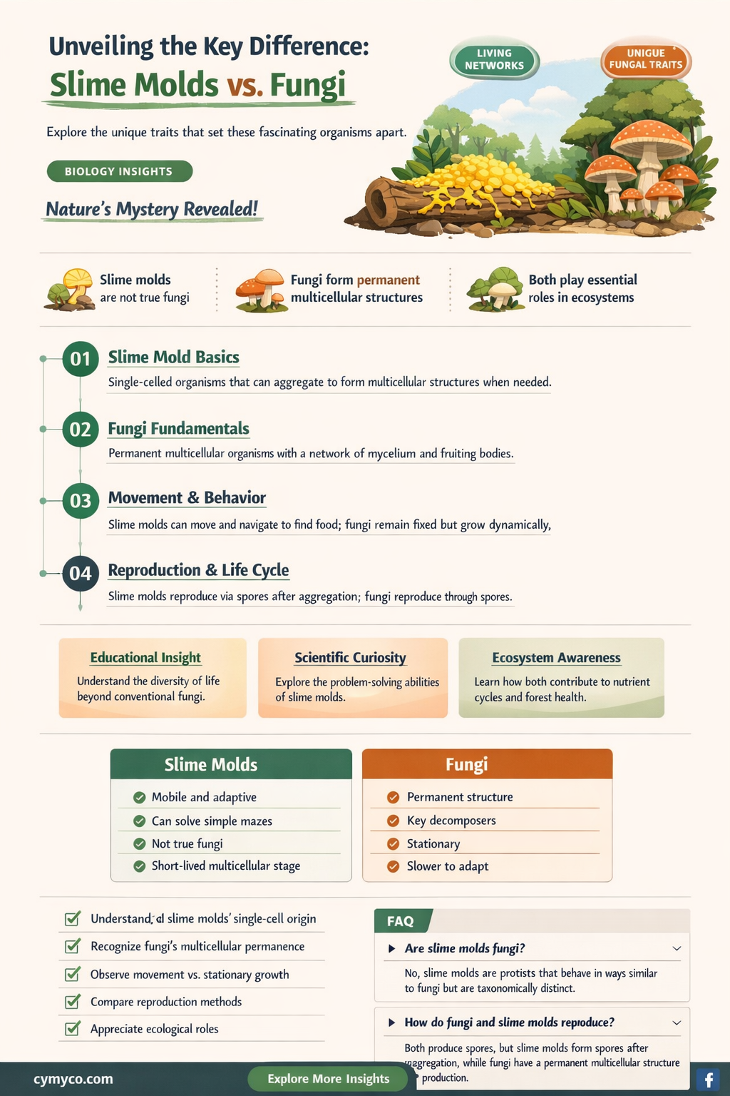 which feature distinguishes slime molds from fungi