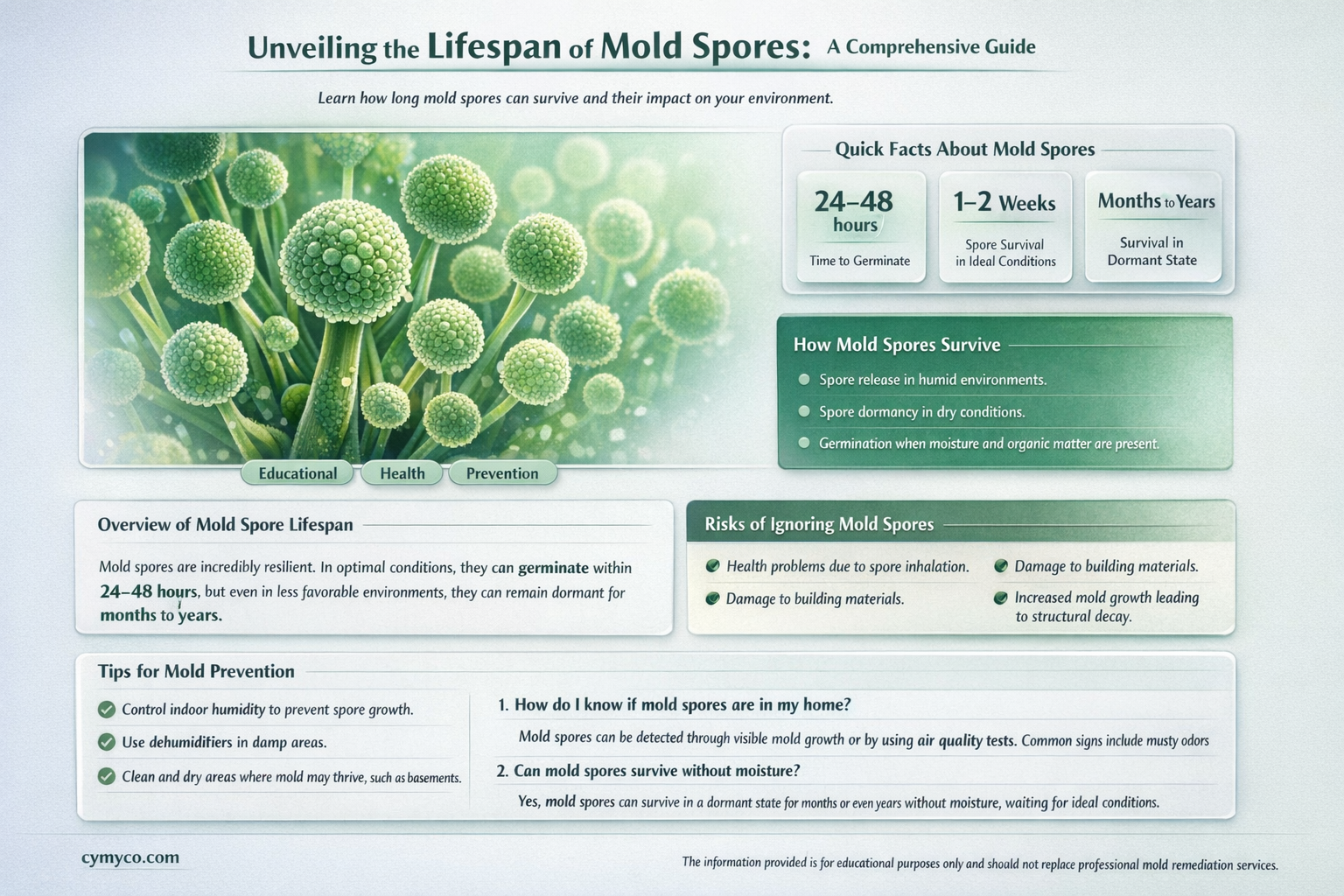 how long does mold spores live