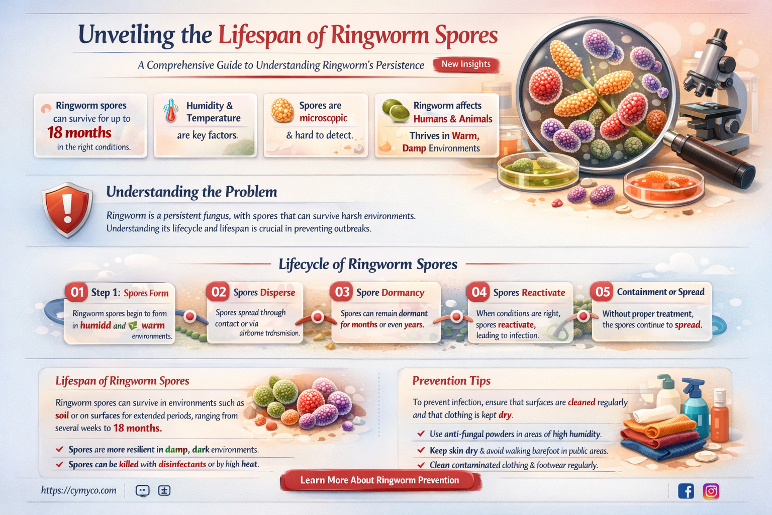 how long do ringworm spores live