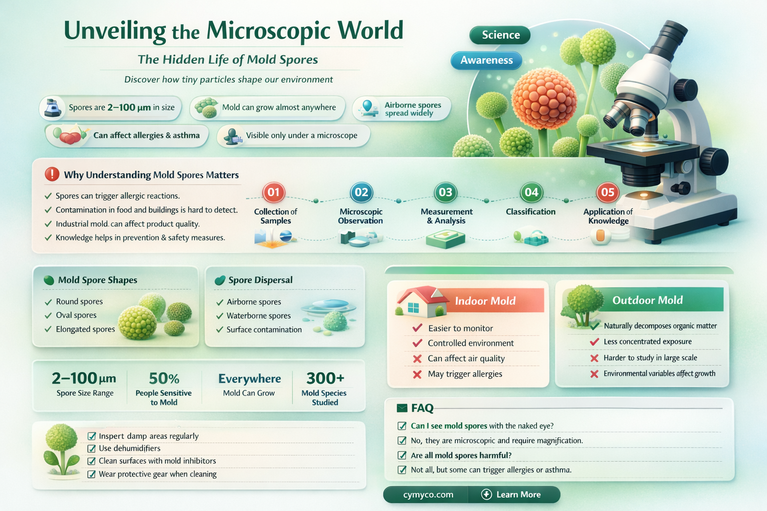 how many microns are mold spores