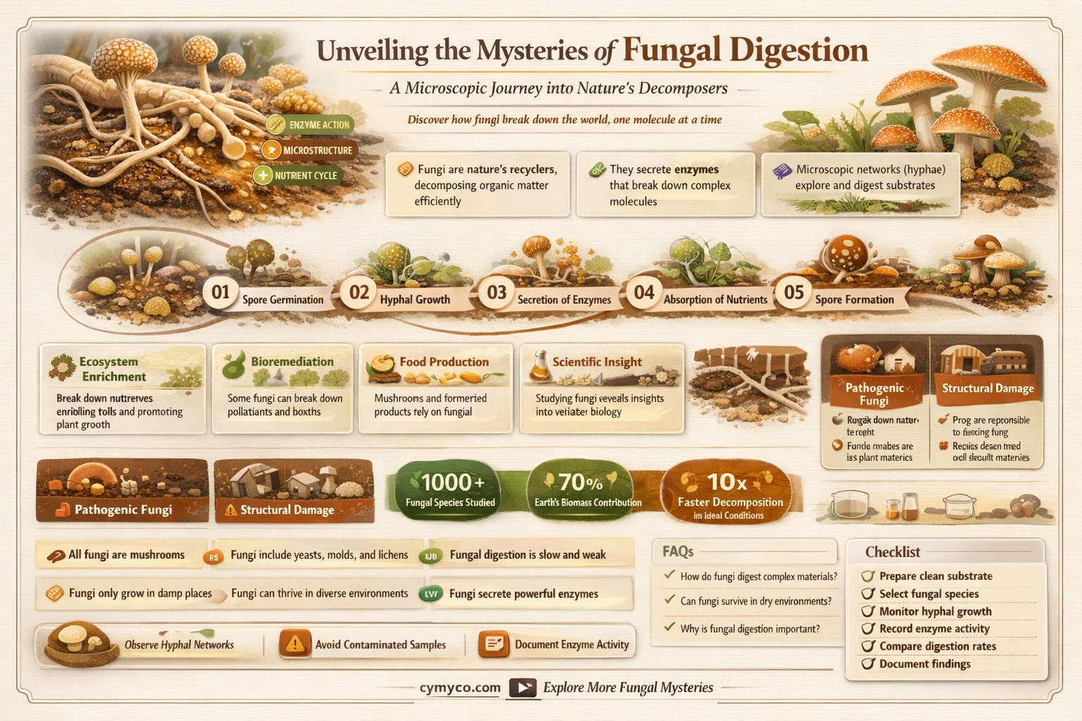 how do fungi digest their food
