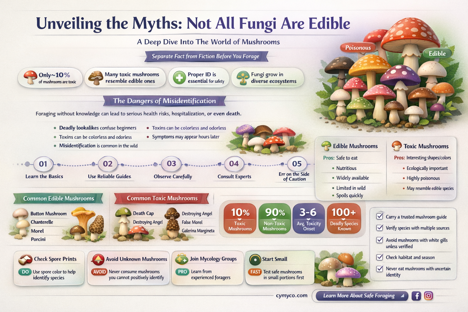 which of the following statements regarding fungi is false