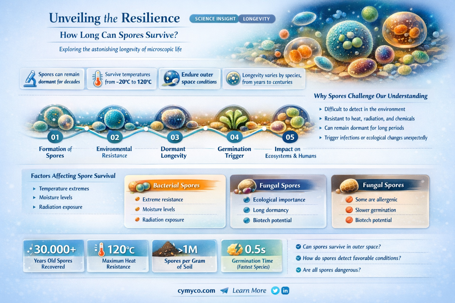 how long can spores survive