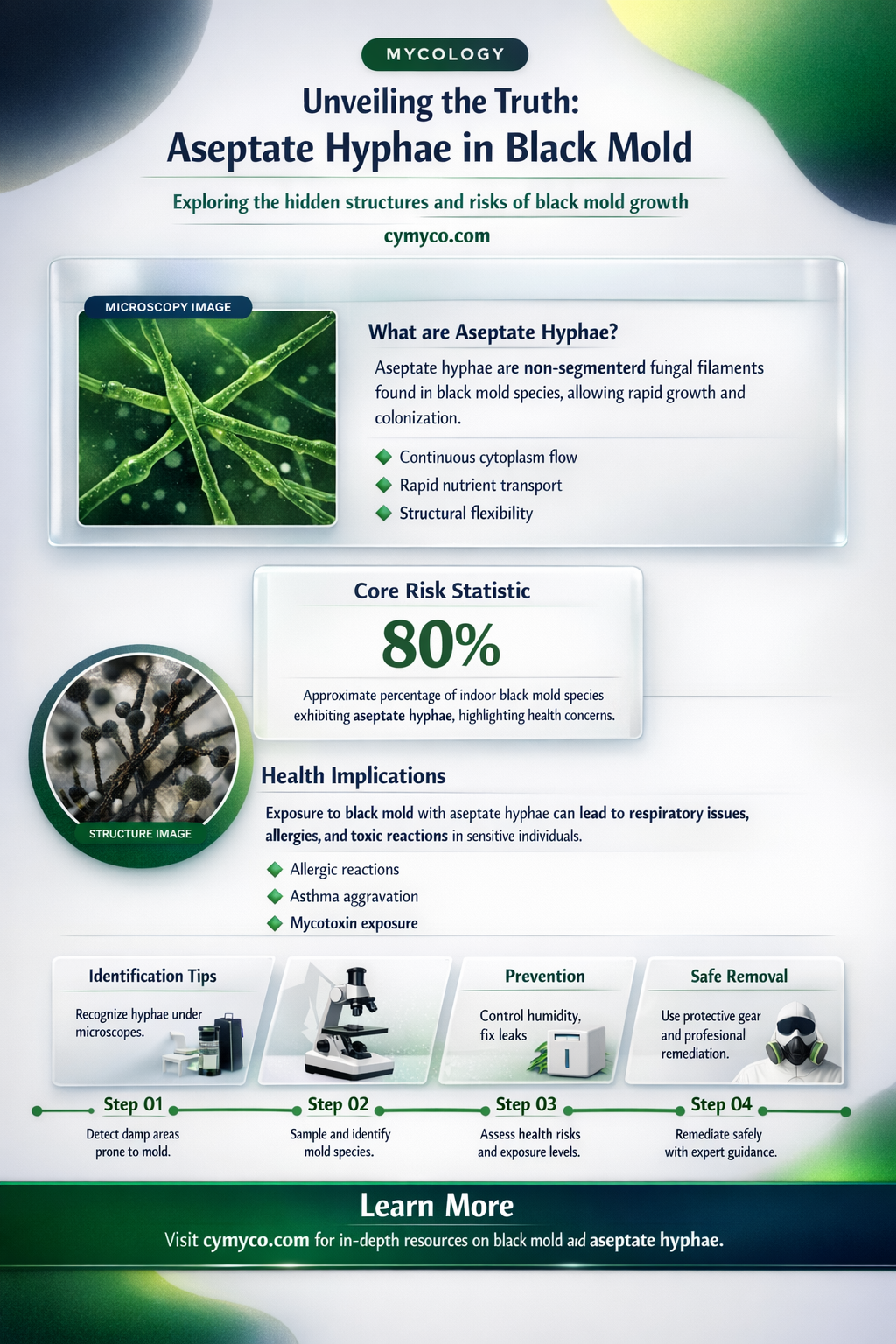 does black mold have aseptate hyphae