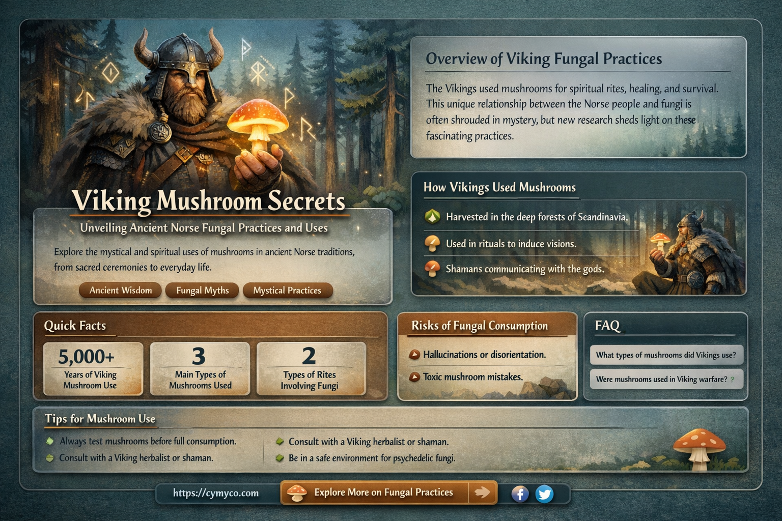 did the vikings use mushrooms