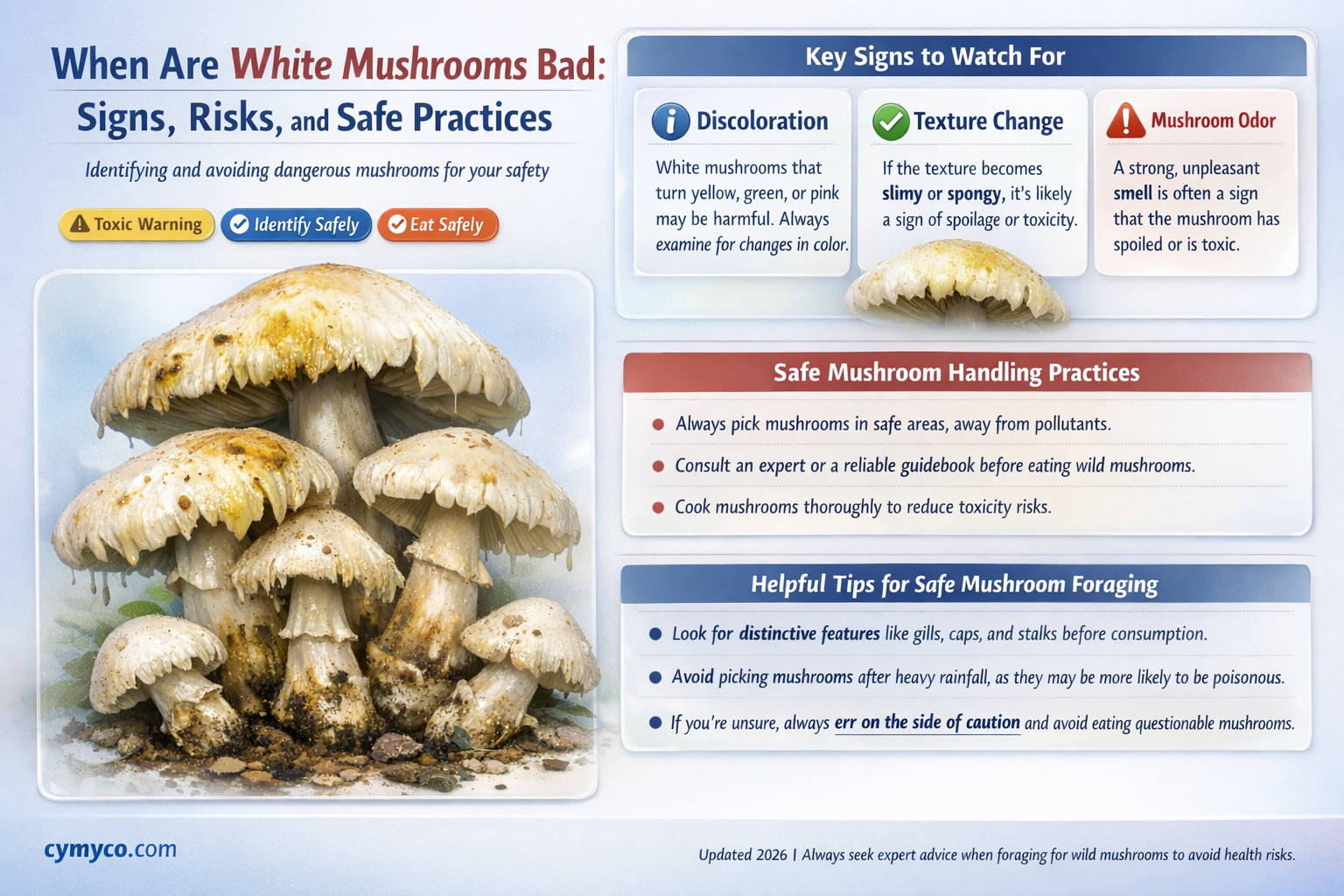 when are white mushrooms bad