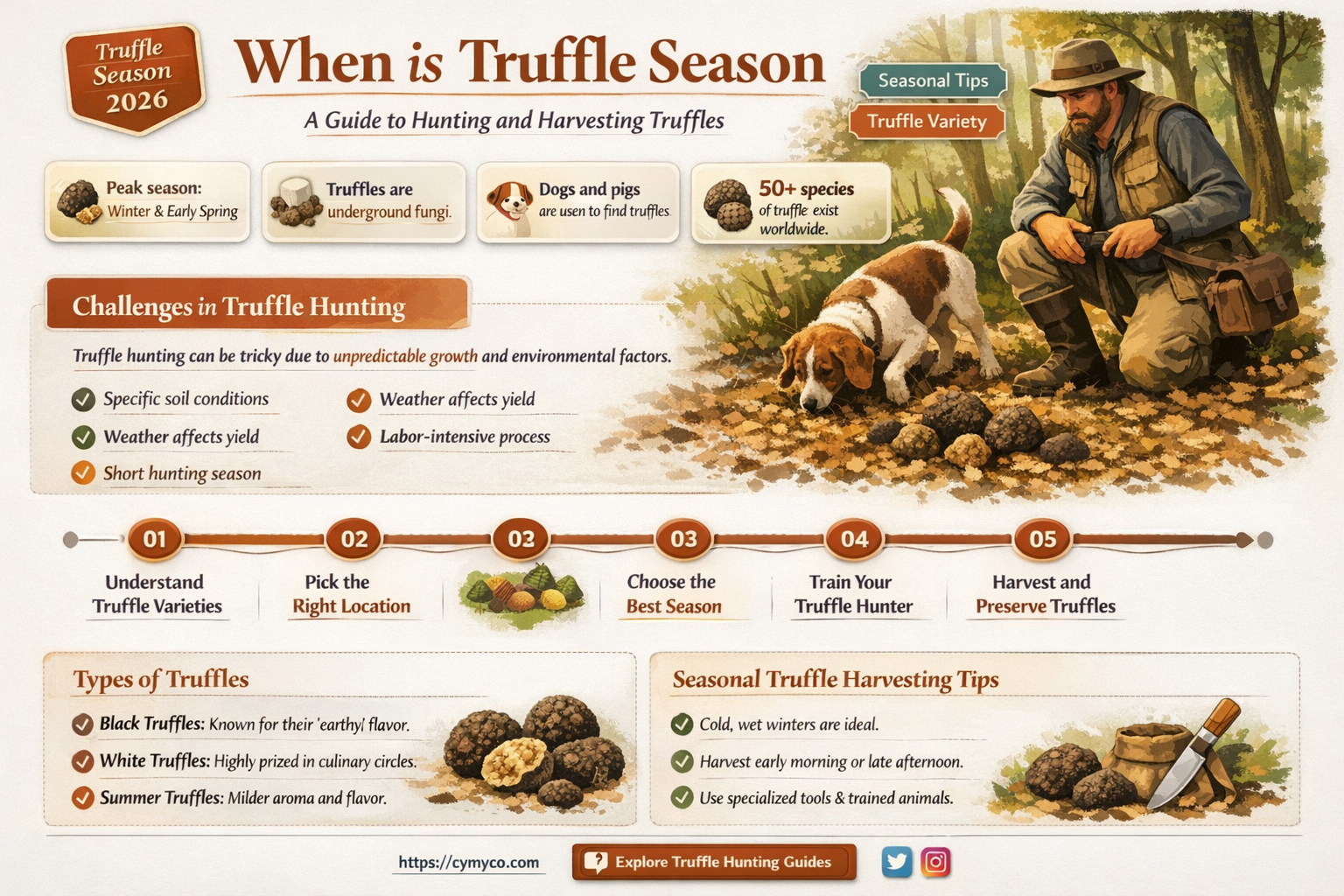 when is truffle season