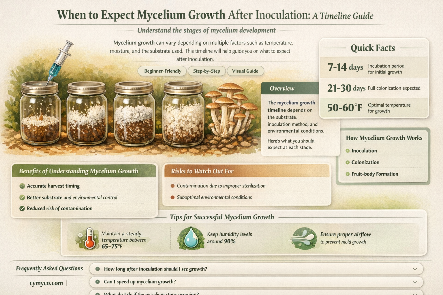 how long after inoculation should i see mycelium